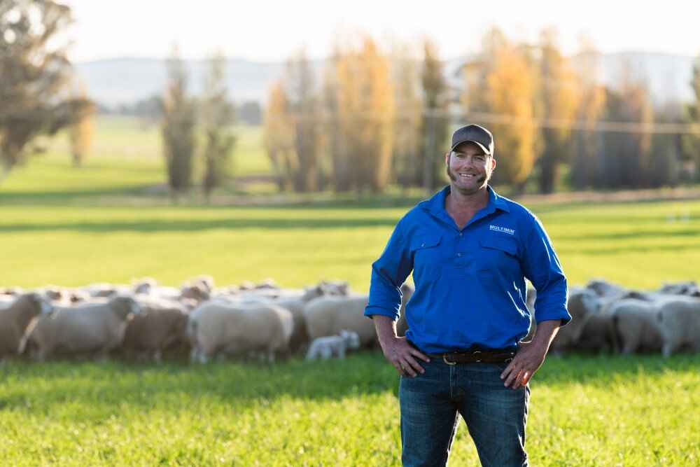 "Comparing results from using Multimin this year, to not using it last year, we had 4% less dry sheep, 11% less singles, 14% more twins and 25% more foetuses scanned overall."